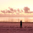 Eine Person steht am Meer und blickt auf den warm beleuchteten Horizont.